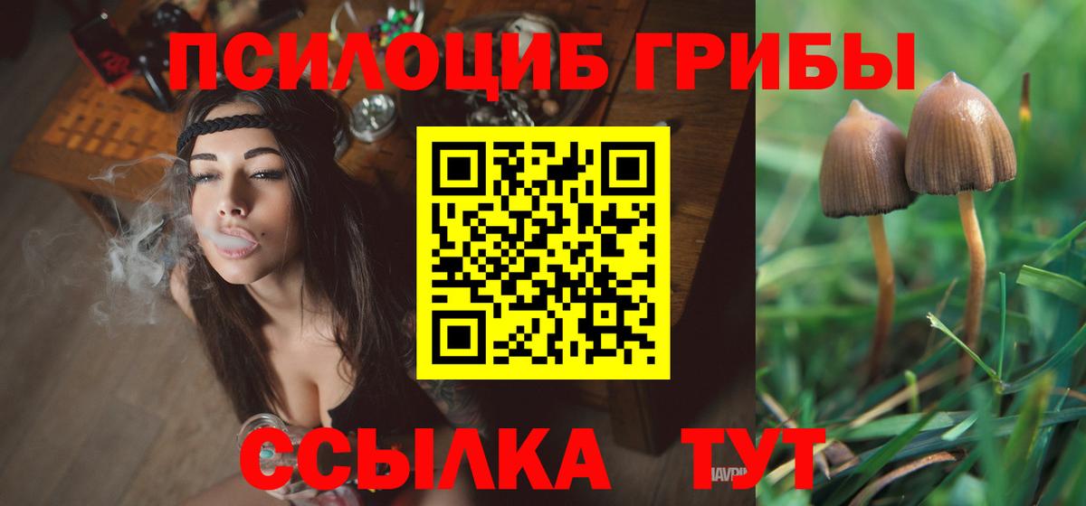 Галлюциногенные грибы Psilocybine cubensis Сердобск